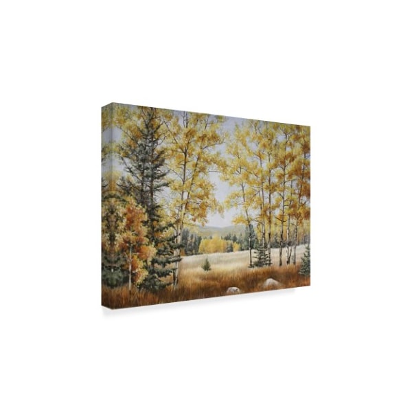 Carol J Rupp 'Fall Meadow' Canvas Art,14x19